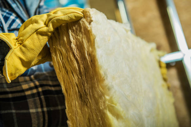 Best Geographic-Specific Insulation Services in Barrett, TX